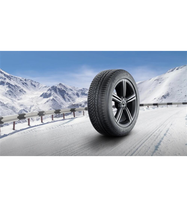 255/40R20 101V XL PILOT ALPIN PA4 MO GRNX MI